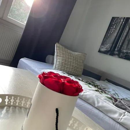 Apartment Gemuetliche In Der Stadt 1 *